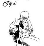 Figure 10: Each of your bred ladies will produce one or two kids—every one of which you'll have to bottle-feed to weaning age.